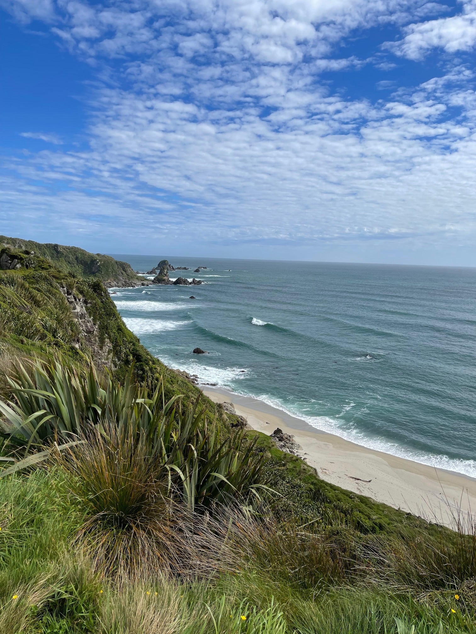 Photo of the seal colony and ocean and cliffs south of the lighthouse, cape Foulwind, West Coast